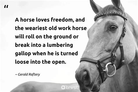 horse phrases catchy|101 Horse Quotes for Horse Lovers .